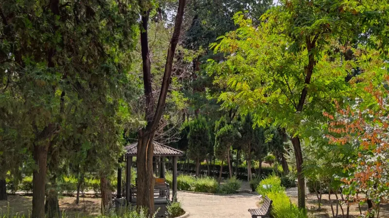 پارک ساعی - تصویر 5