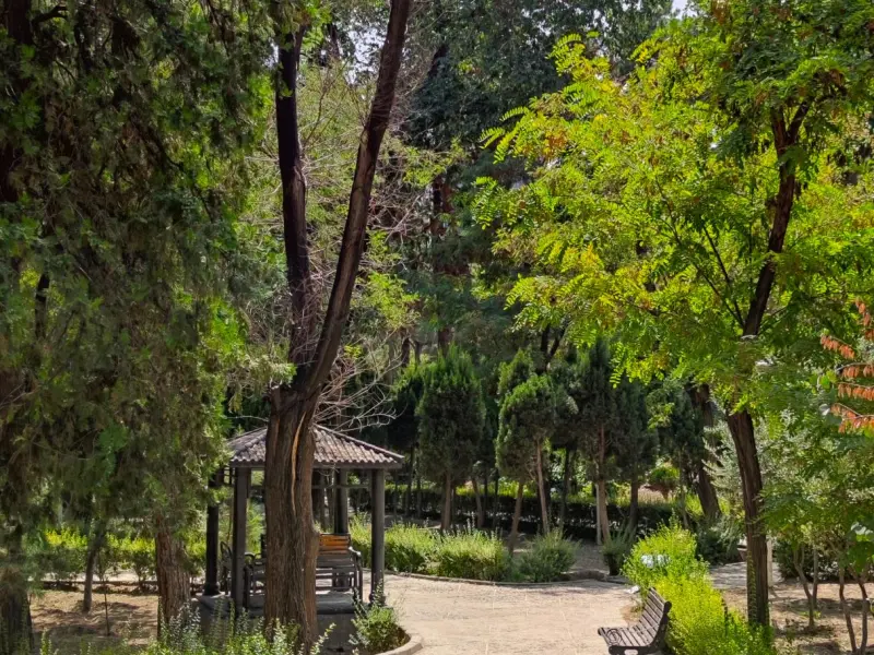 پارک ساعی - تصویر 5
