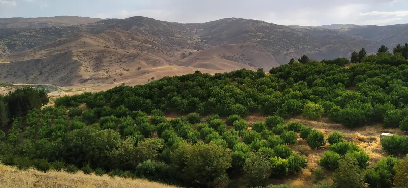 روستای گره‌بان - تصویر 6