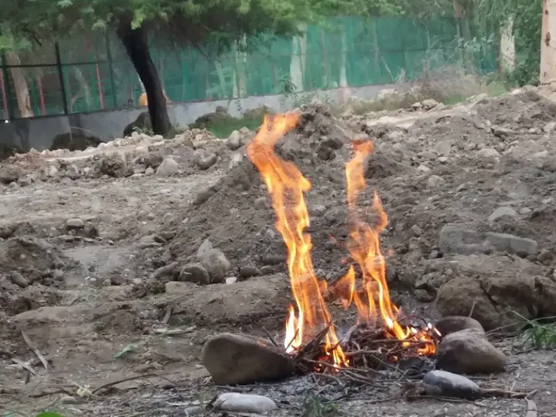 پارک جنگلی طبیعت (جهاد) - تصویر 1