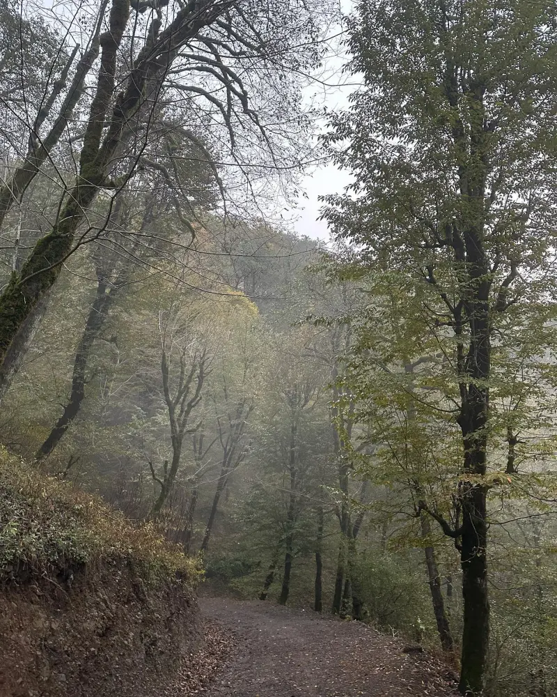 آبشار موتالان - تصویر 4