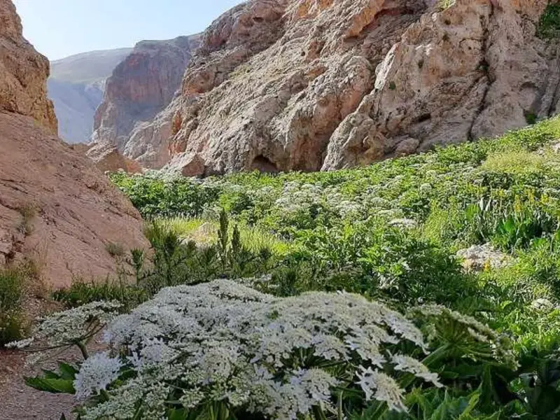 تنگه میشینه مرگ - تصویر 2