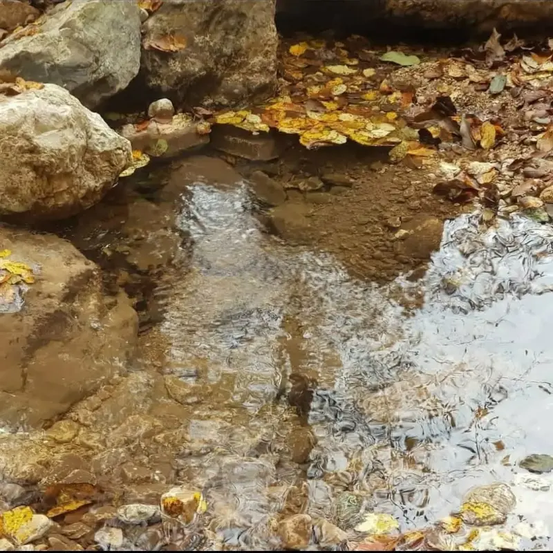 چشمه پلنگ خیل - تصویر 1