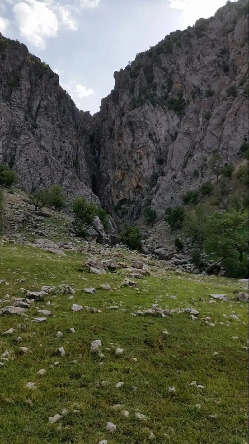 دره شاخ گاومیشی - تصویر 2