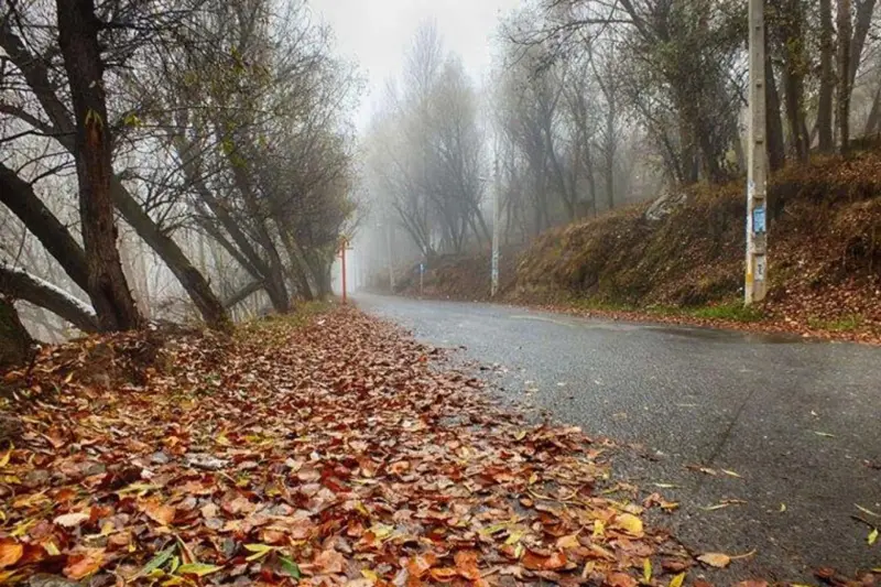 پارک جنگلی خیاوچای - تصویر 2