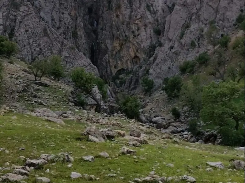 دره شاخ گاومیشی - تصویر 2