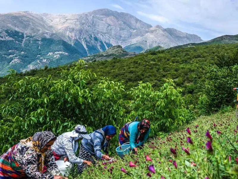ییلاق جنت رودبار - تصویر 4