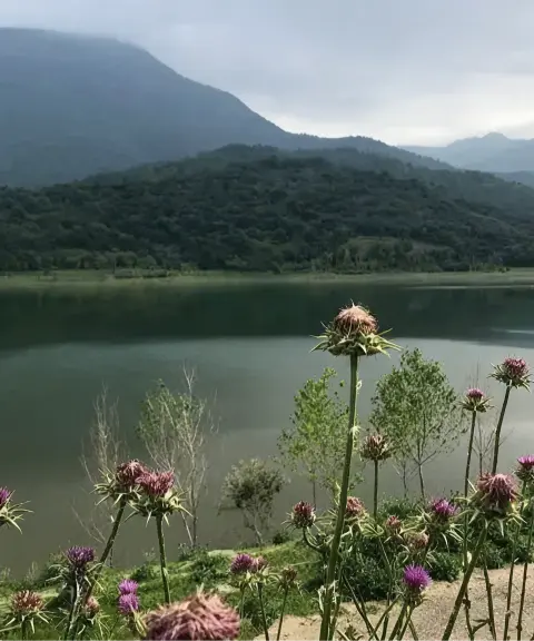دریاچه سد زرین گل (کبودوال)، گلستان