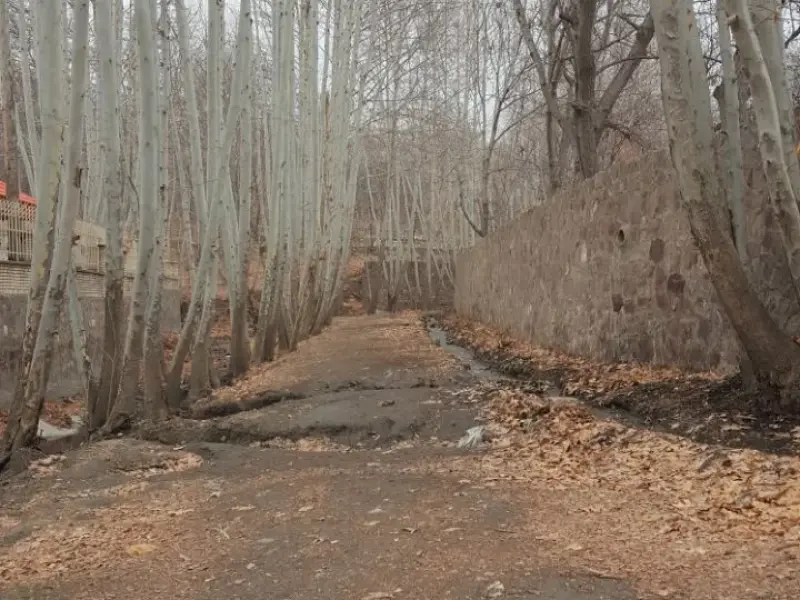 روستای خادر - تصویر 2