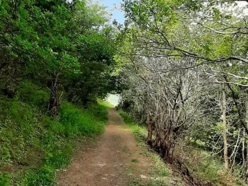 آبشار کولیار - تصویر 3