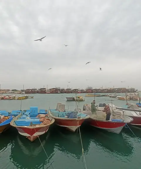 اسکله جفره، بوشهر