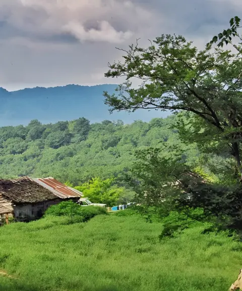 روستای کیسارورزل، گیلان