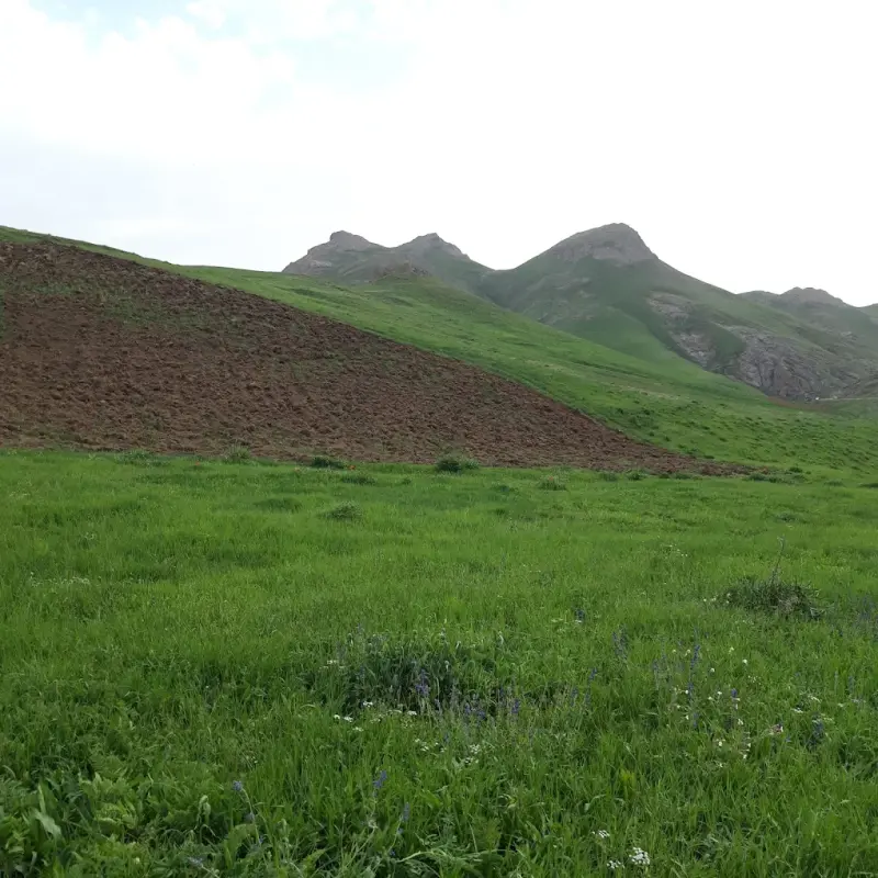 آبشار شیران - تصویر 5