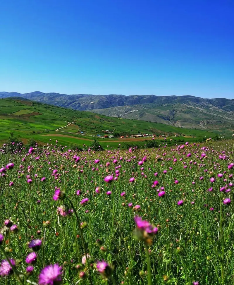 روستای استارم - تصویر 4