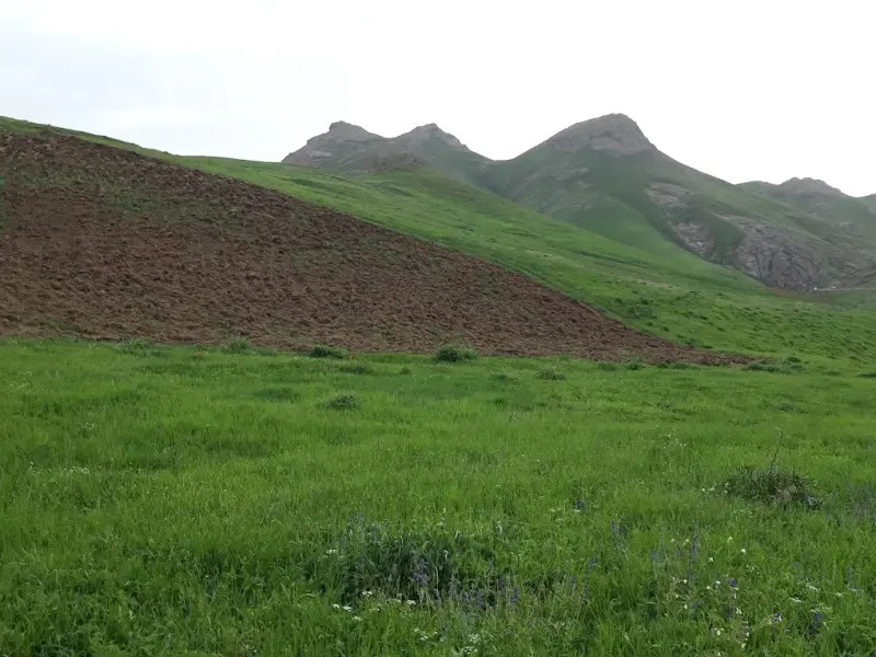 آبشار شیران - تصویر 5