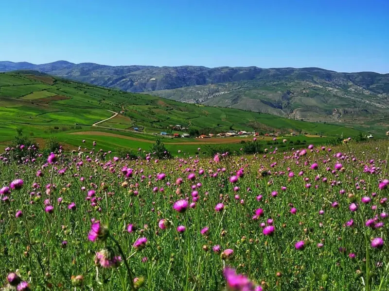 روستای استارم - تصویر 4