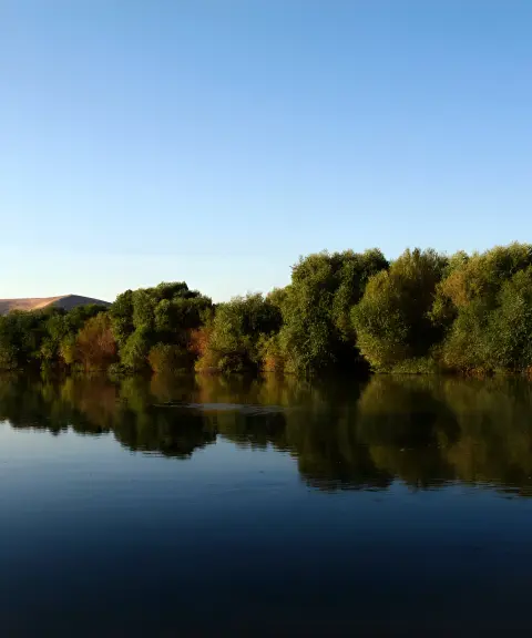 زرینه ‌رود، کردستان