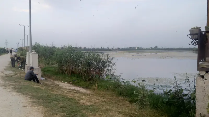 تالاب حیدر‌کلا - تصویر 8