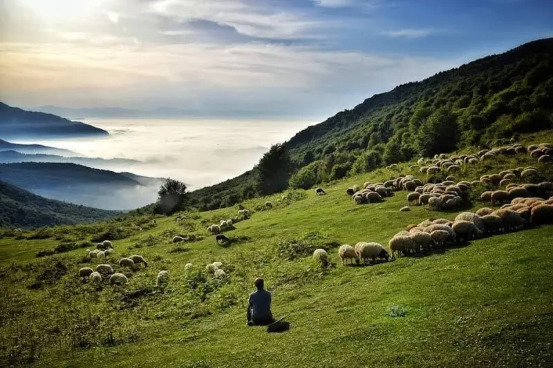 روستای اسپیلی - تصویر 3