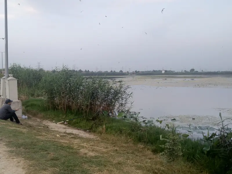 تالاب حیدر‌کلا - تصویر 8
