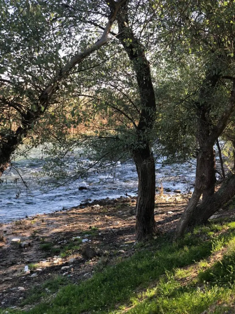 پارک جنگلی خارستان بهبهان - تصویر 4