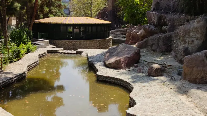 پارک ساعی - تصویر 6