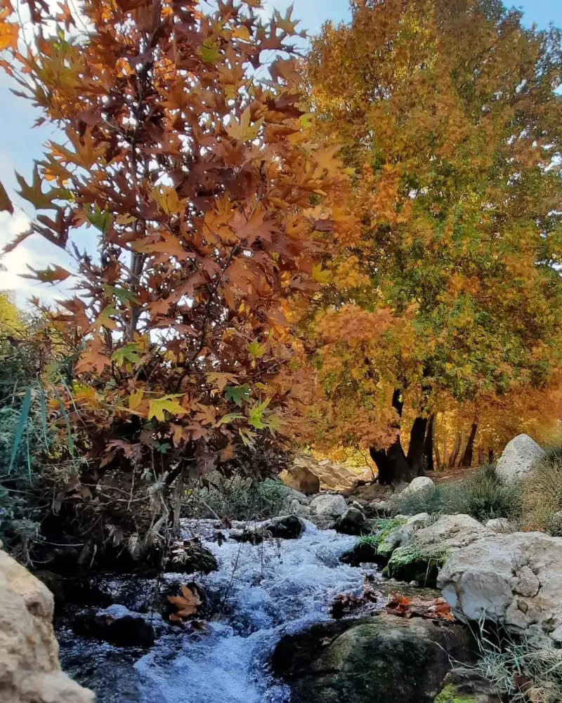 سراب کاشنبه - تصویر 3