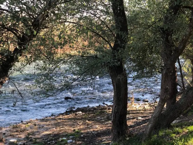 پارک جنگلی خارستان بهبهان - تصویر 4