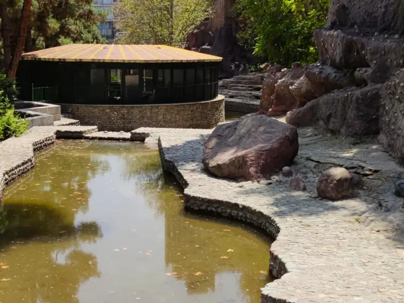 پارک ساعی - تصویر 6