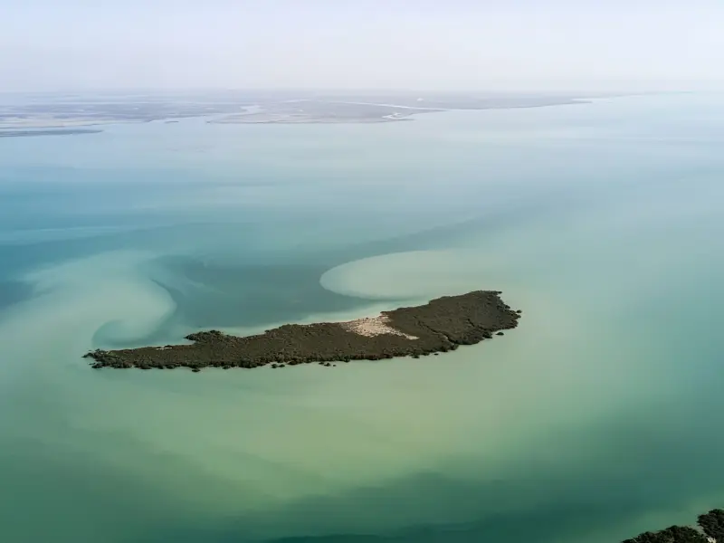 جزیره مردو