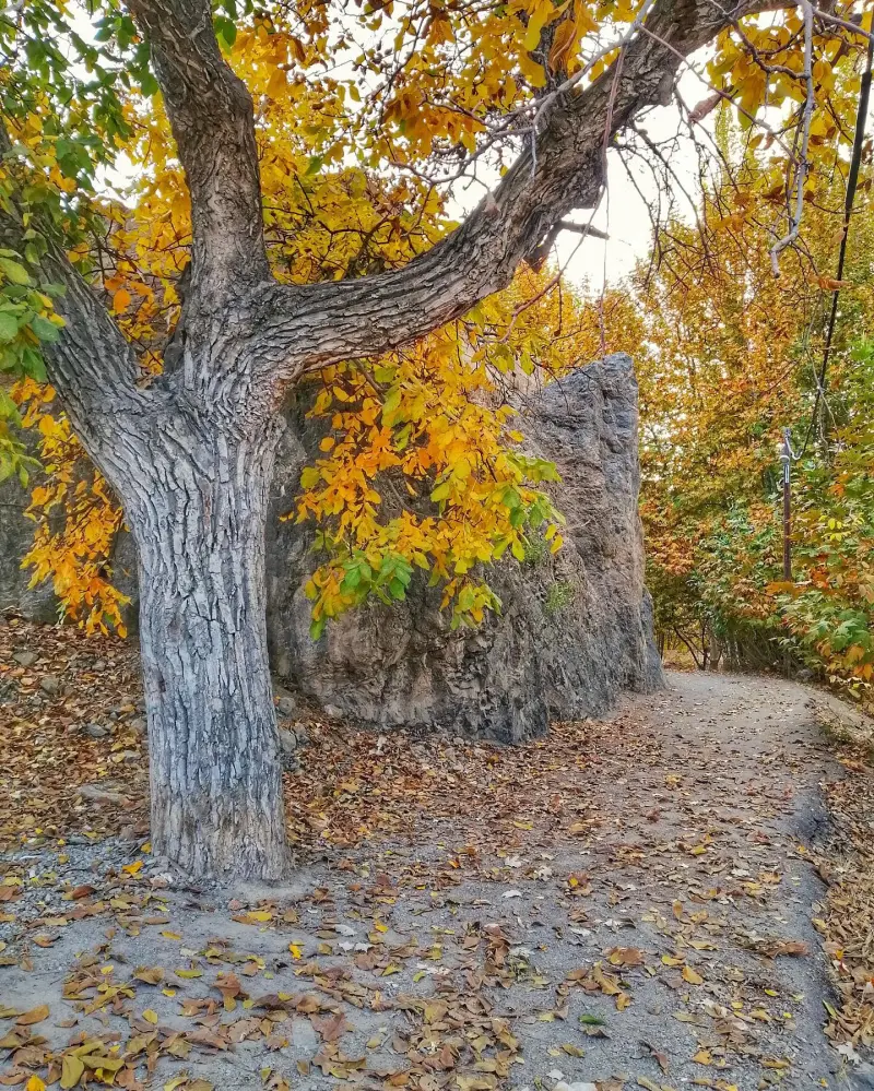 روستای کاهکش - تصویر 3