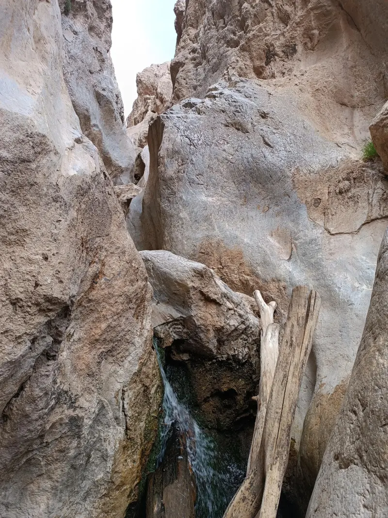 دره سبزرود - تصویر 4