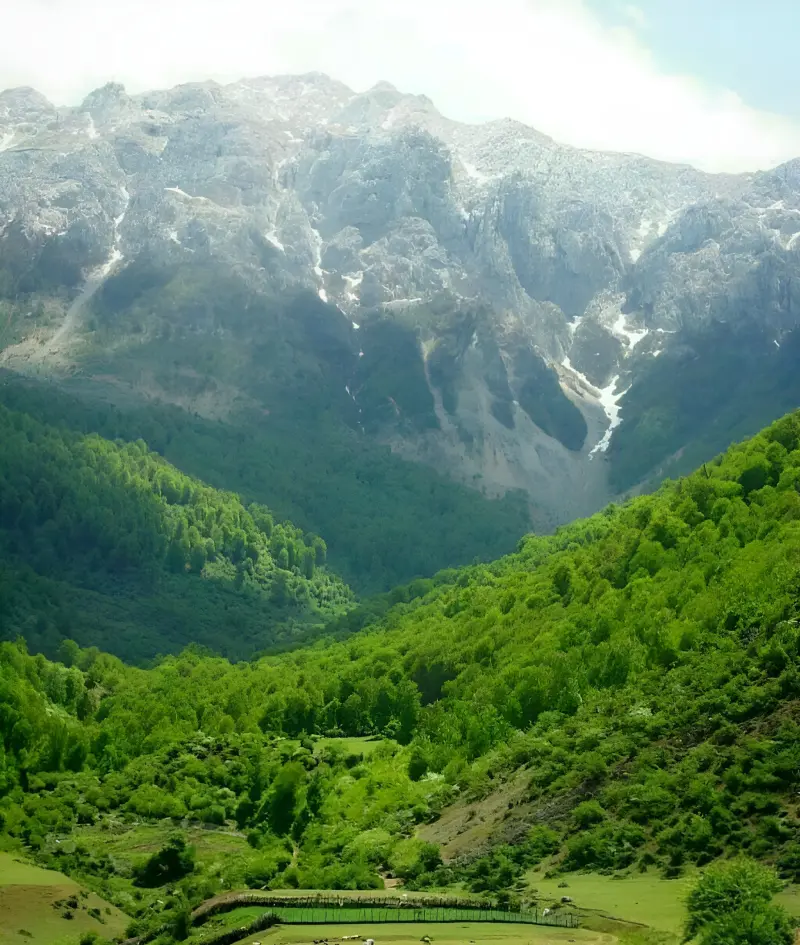 روستای برنت - تصویر 5
