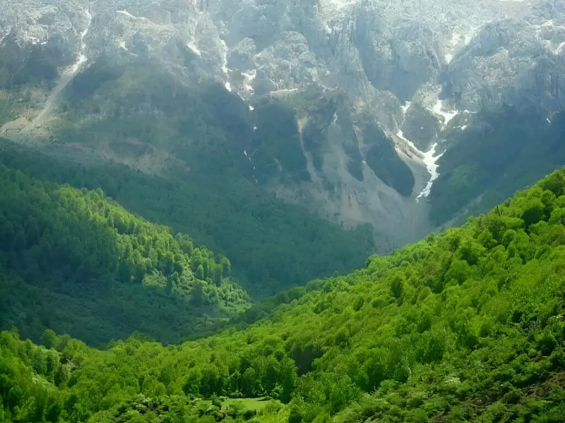 روستای برنت - تصویر 5