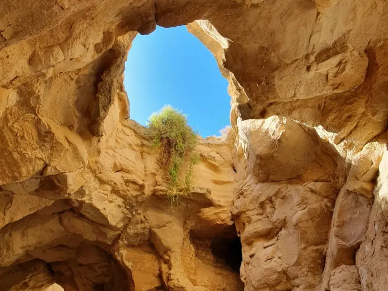 غار آریا