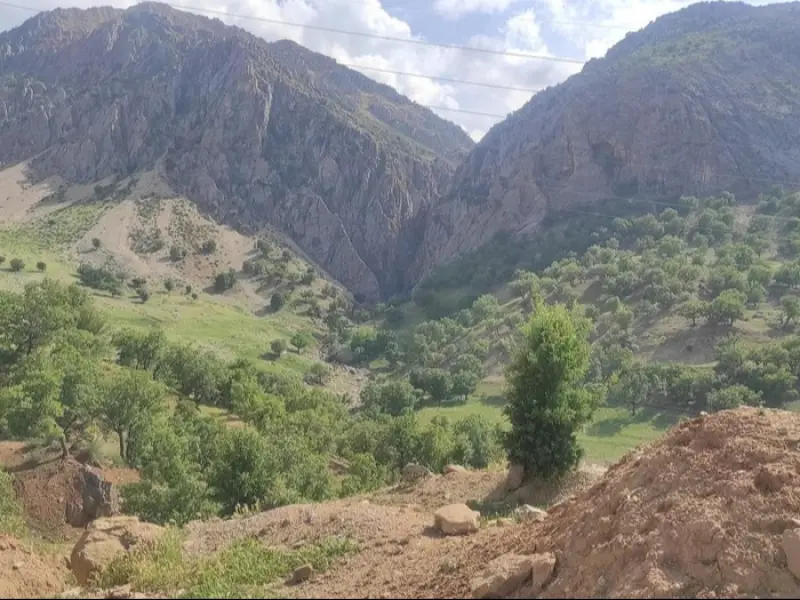 دره شاخ گاومیشی