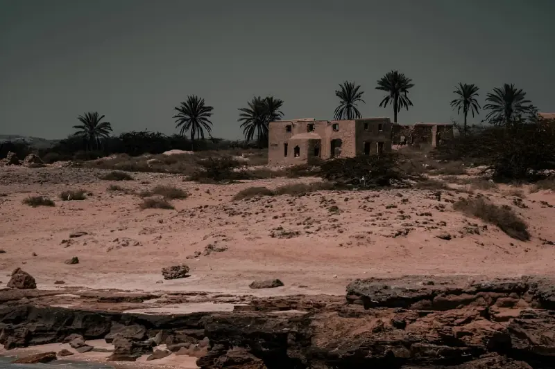 نخلستان قیل - تصویر 1