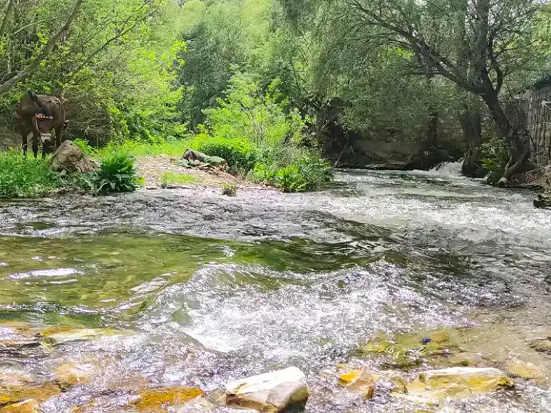 روستای سفیدبرگ - تصویر 4