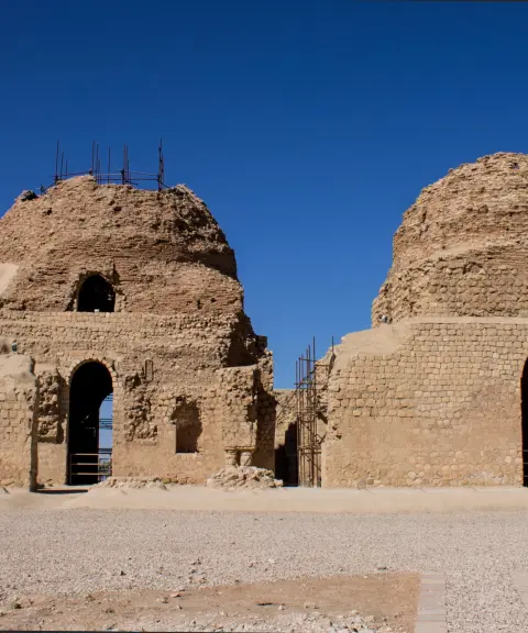 کاخ سروستان، فارس