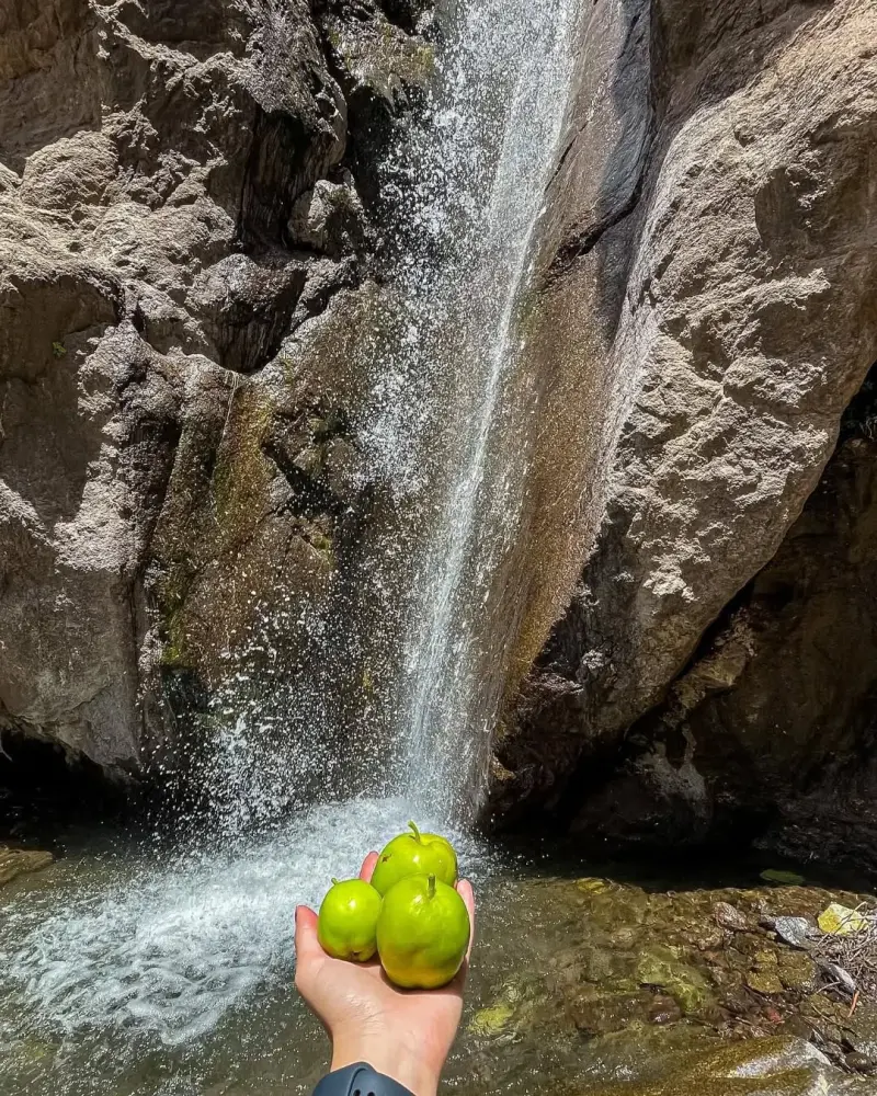 آبشار وری‌ید - تصویر 1