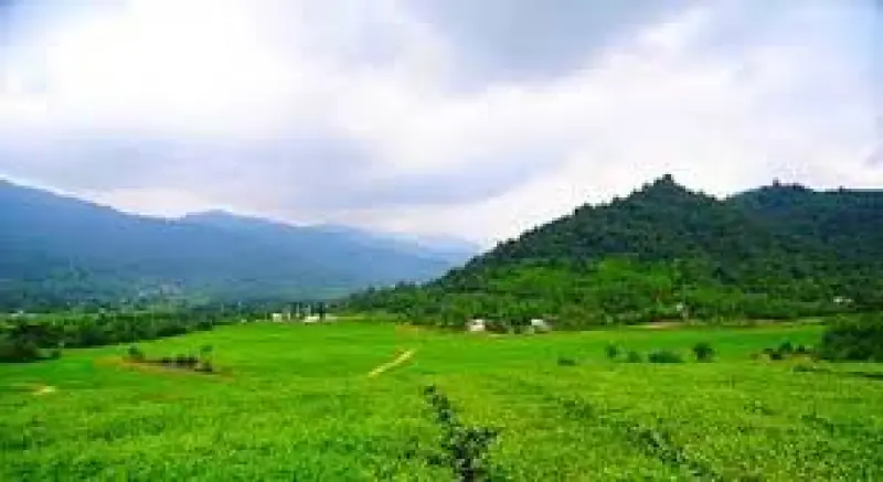 تالاب تنیان - تصویر 4