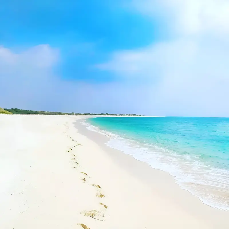 ساحل گرت - تصویر 1