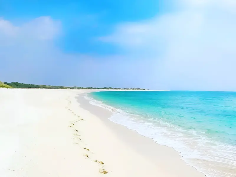 ساحل گرت - تصویر 1