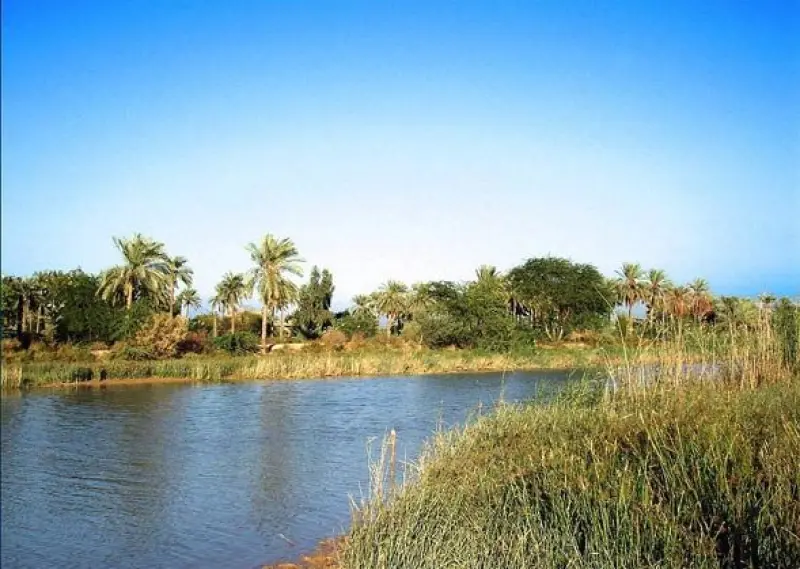 جزیره مینو - تصویر 1
