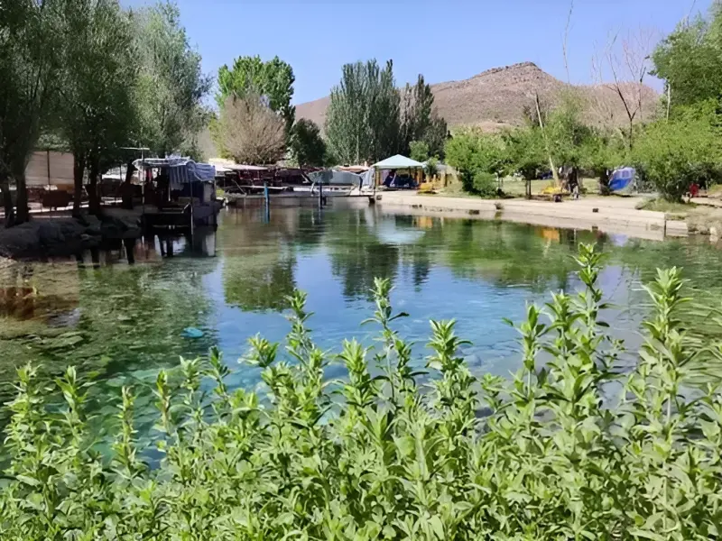 چشمه دیمه
