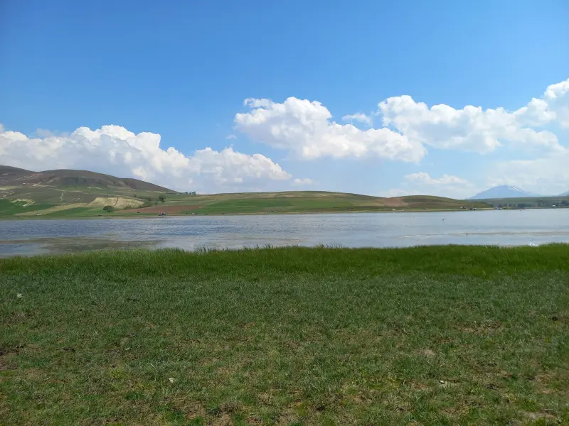 تالاب قوری‌ گل - تصویر 8