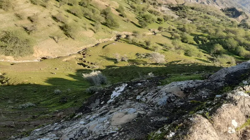 منطقه حفاظت شده چهل پا - تصویر 2
