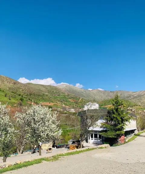 روستای نجنه‌علیا، کردستان