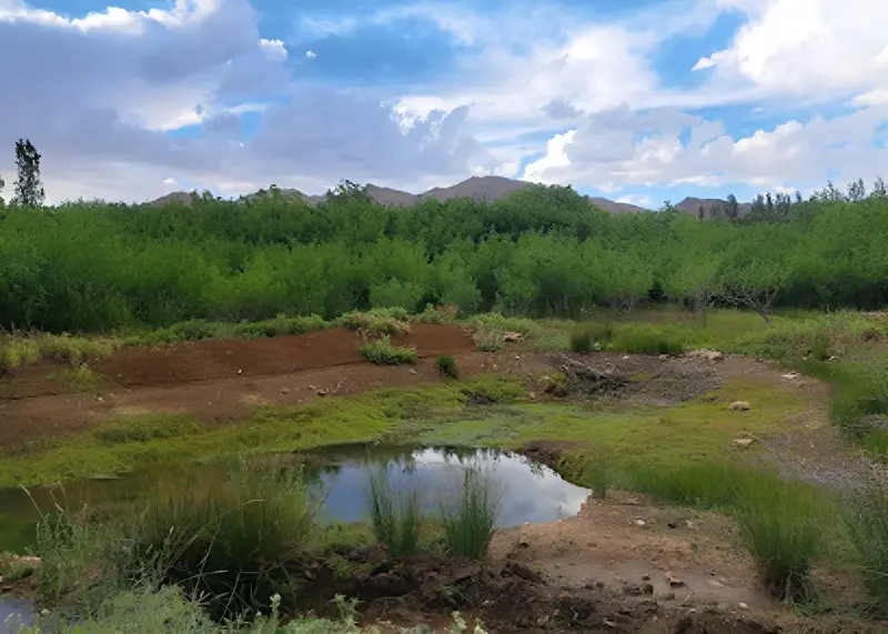 روستای کرخنگان - تصویر 1
