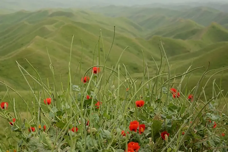 روستای گچی سو بالا - تصویر 1